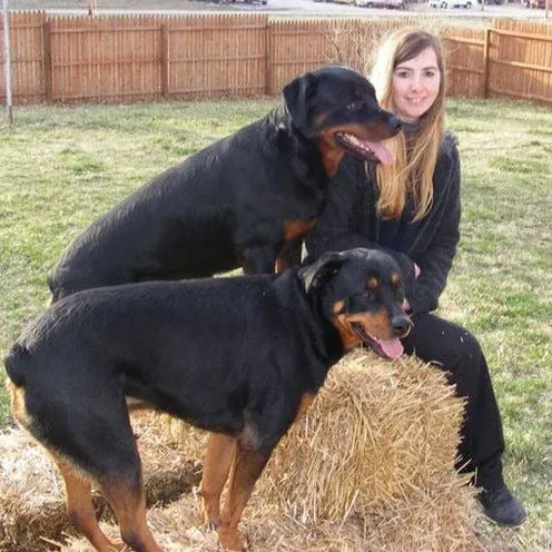 Portrait of dog trainer Adrienne Farricelli