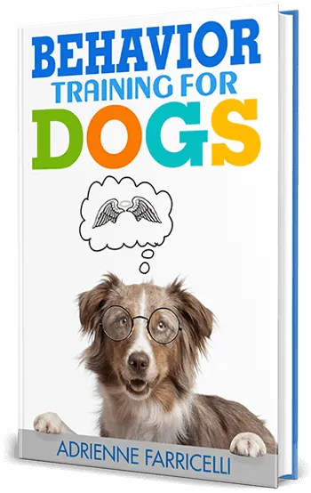 Owner working through a training exercise with a dog