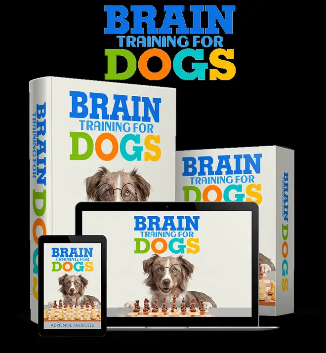 Brain Training for Dogs digital program cover